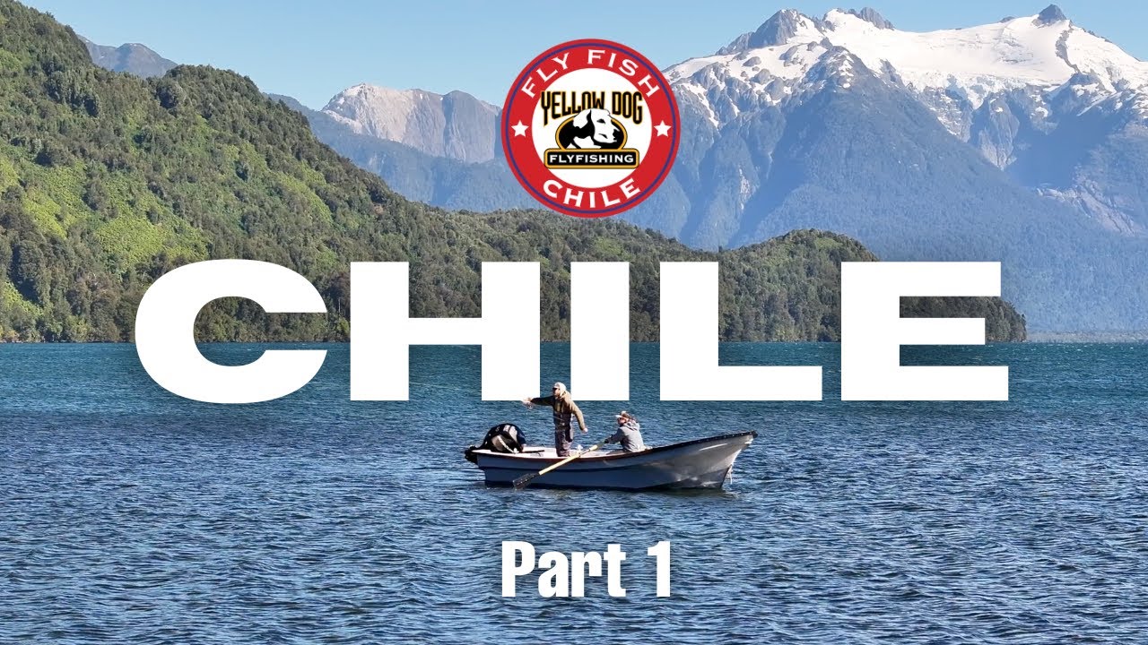 Fly Fishing Chile - Part 1: Yellow Dog Field Reports
