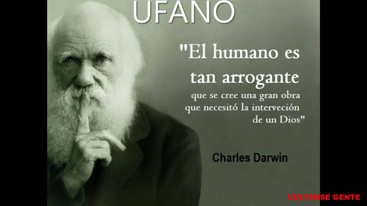 UFANO DEFINICI&Oacute;N