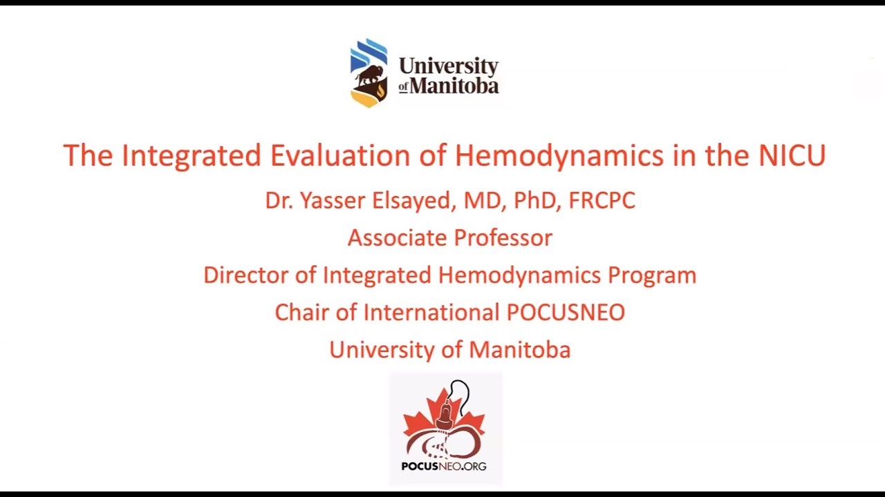 The Integrated Evaluation of Hemodynamics in the NICU