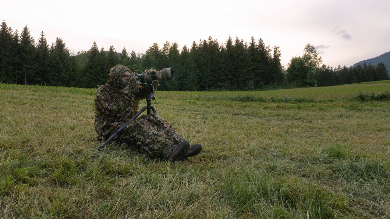 Wildlife photography - Trying to find roe deer