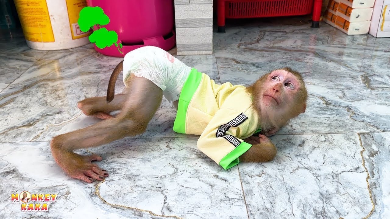 Monkey Kaka farted so bad, the little girl ran to call her mom to change her diaper.