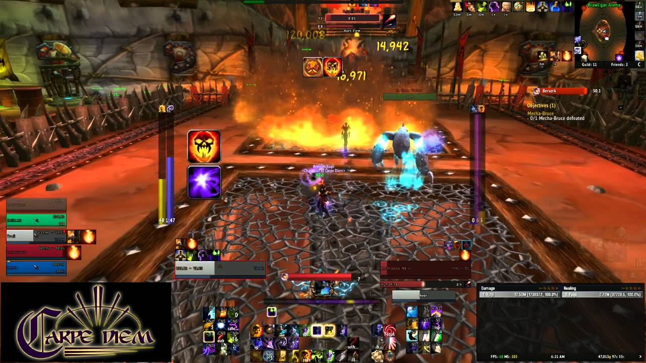 Brawler's Guild - Realm First Rank 10 (Oceanic First too)