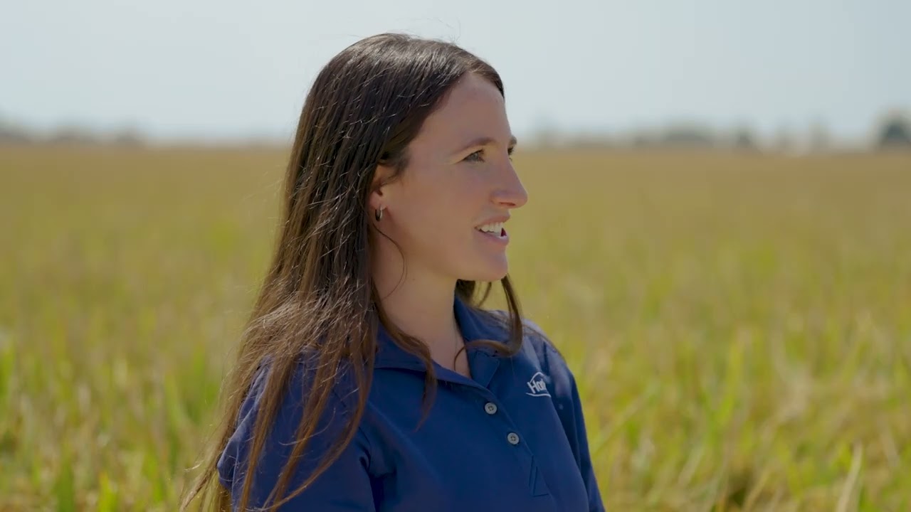 2025 Rice Growing Season: Floods, Delays & Resilience in Missouri & Arkansas