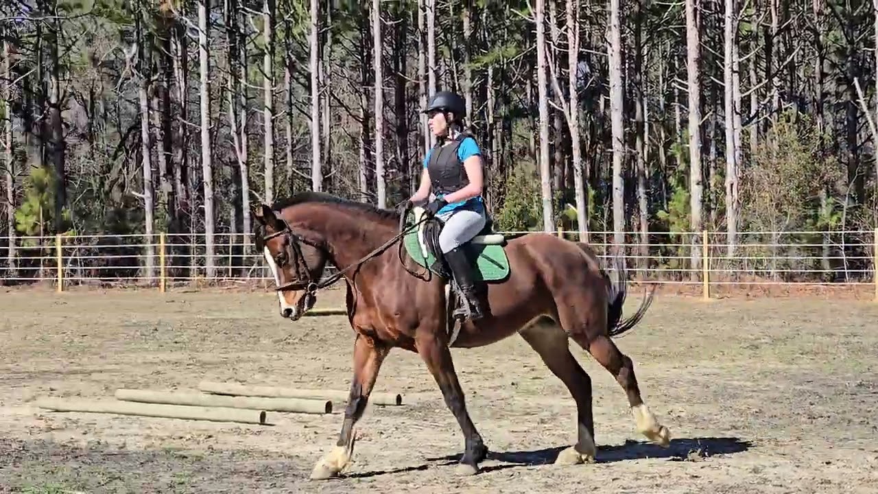 Murphy Trial Willard, NC
