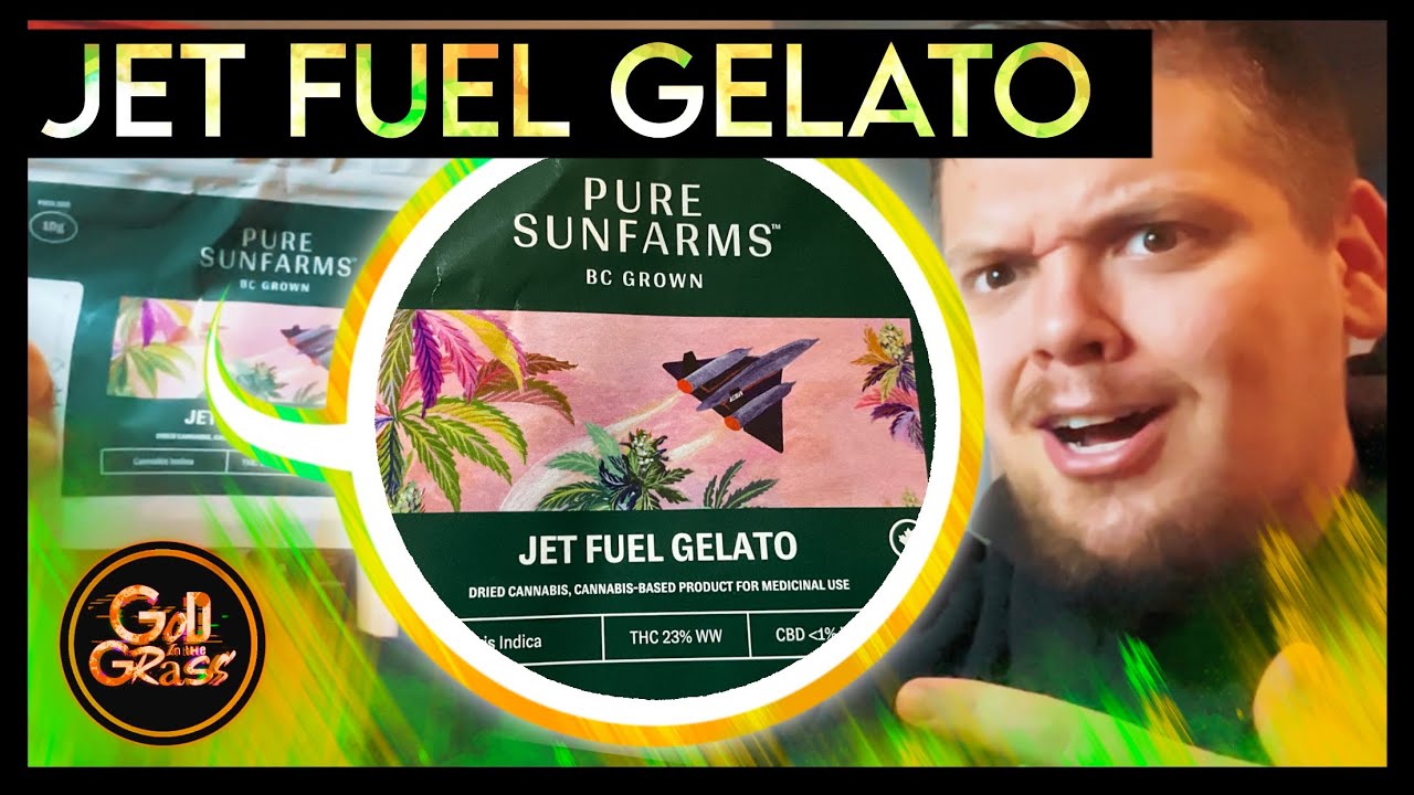 Pure Sunfarms Jet fuel Gelato - Medical Cannabis 🌱 Review