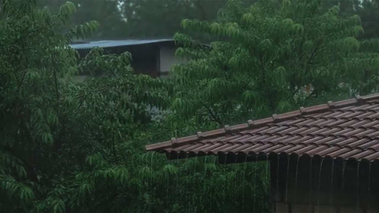 Fall Asleep Instantly Tonight 🌧️ Heavy Rain & Thunder That Melts Stress Away | Heavy Rain ASMR
