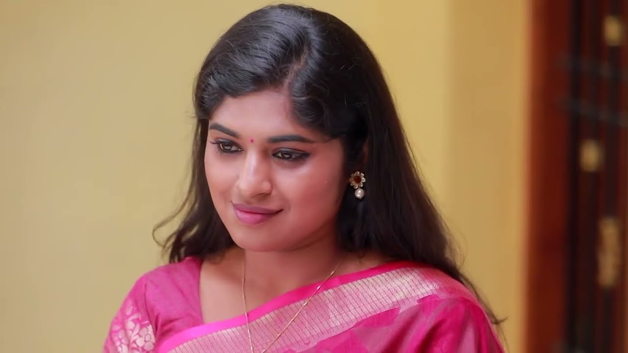 Adhira Hits Akhilan - Kannathil Muthamittal - Full Ep 255 - Zee Tamil