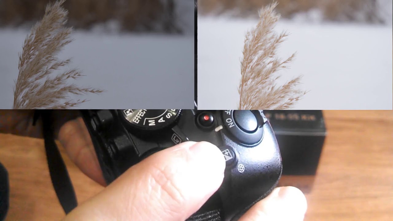 Nikon D3500. Обзор камеры