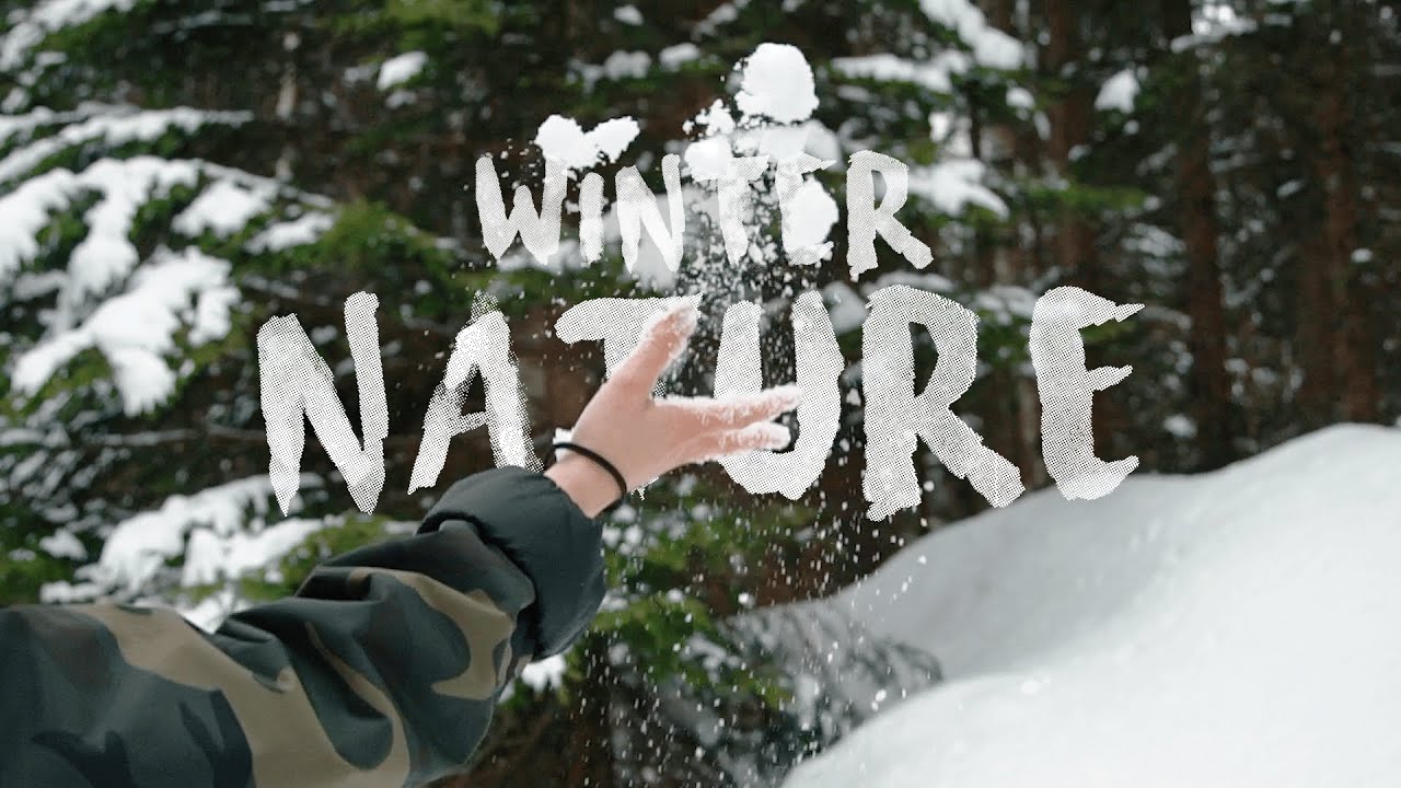 Into The Winter Nature - Cinematic Travel Video | Sony a7R IV