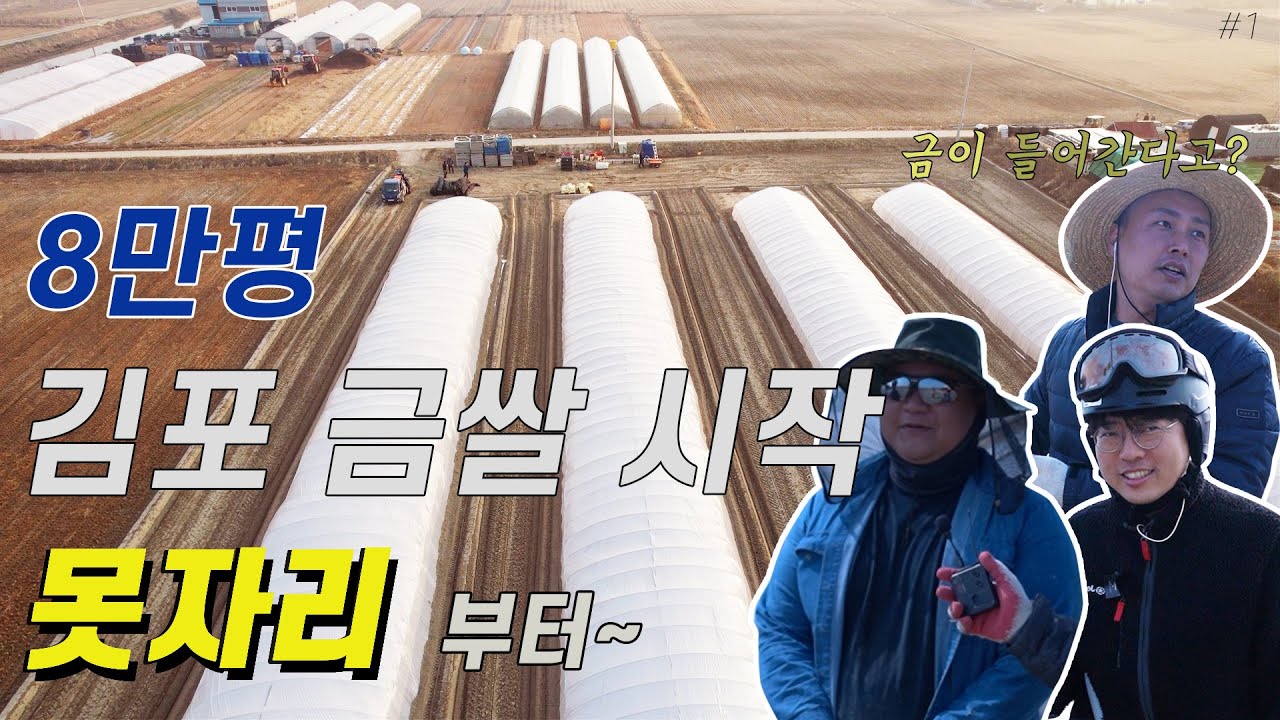8만평 벼농사 의 시작   못자리 부터   풍년 농사 만들기