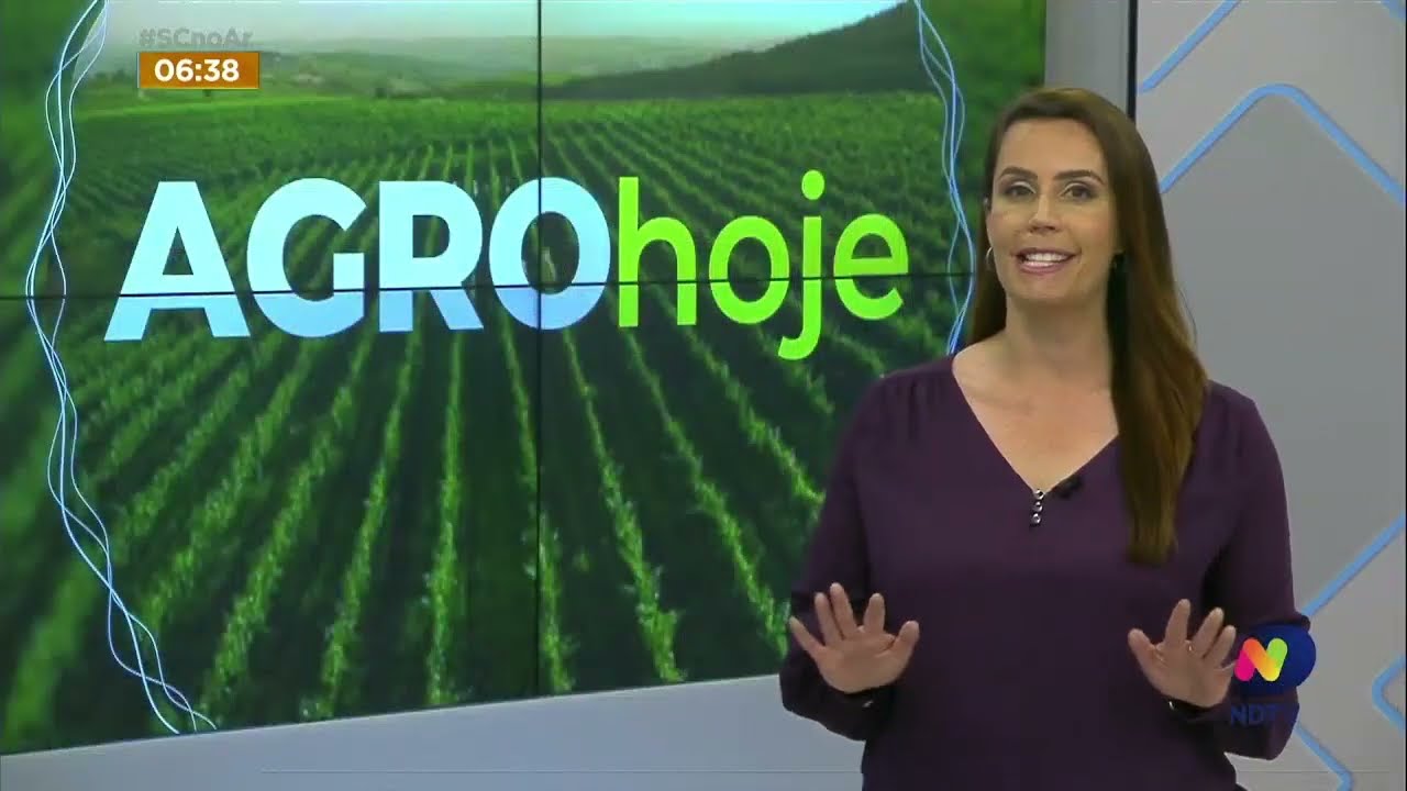 Connheça a produção de açúcar mascavo em grande escala em Paiol, no Oeste de SC