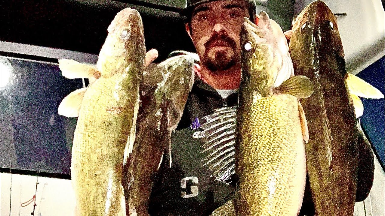 Big walleye @ van hook North Dakota