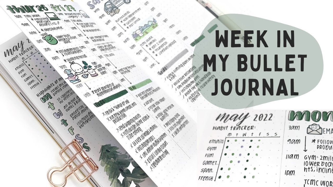 A Week In My Bullet Journal | Plan With Me (ft. Archer & Olive)