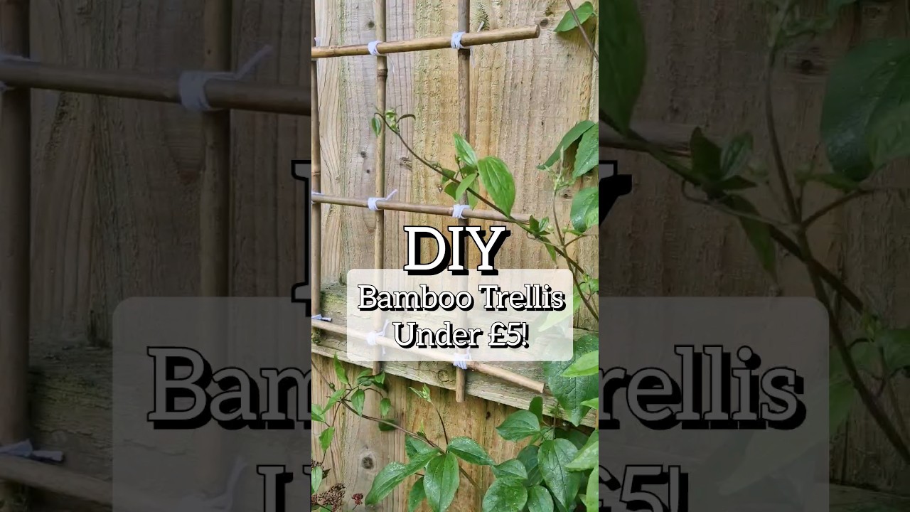 DIY Bamboo Trellis - Under &pound;5 #gardeninghacks #diyprojects #bamboo