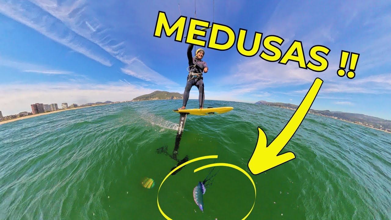 Viento y Medusas en Otoño