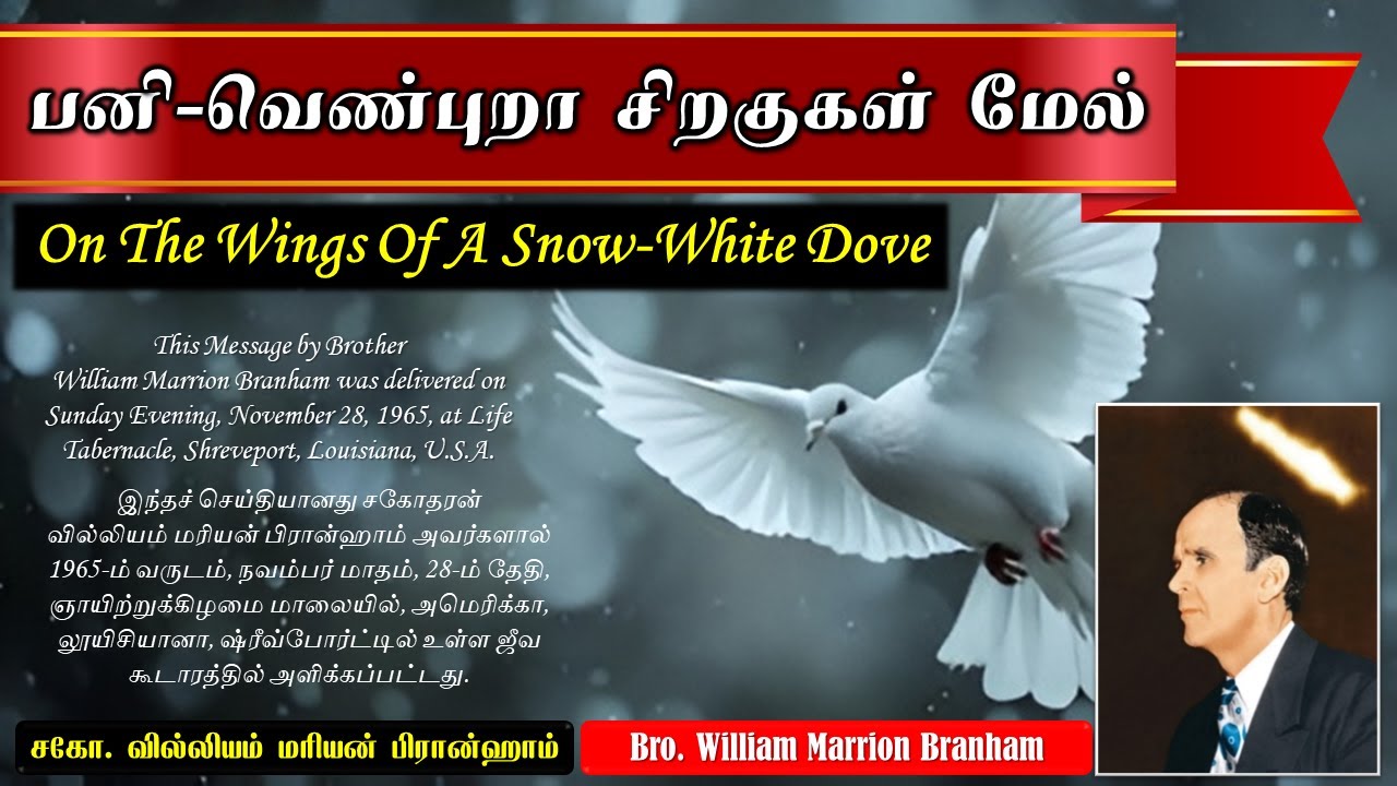 Daily Message | Day 1121 | பனி-வெண்புறா சிறகுகள் மேல் | Bro. William Marrion Branham