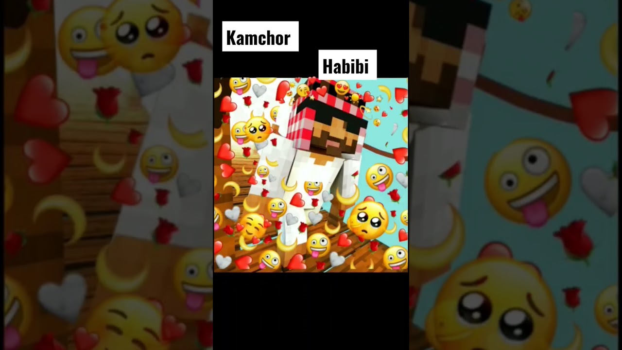 kamchor habibi !! Immortal smp minecraft!!! affixreloaded!!!