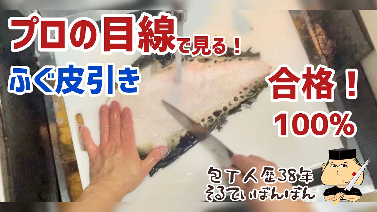 #367【プロの目線】解説しながら超ゆっくりふぐ皮引きします！ 【京都有次 スウェーデン鋼の刃渡り18センチの牛刀でさばく】