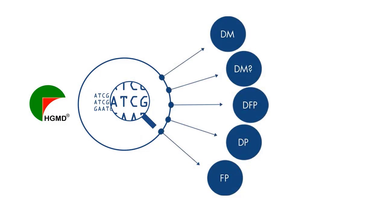 Sub categorization of Human Genome Mutation Data (HGMD)