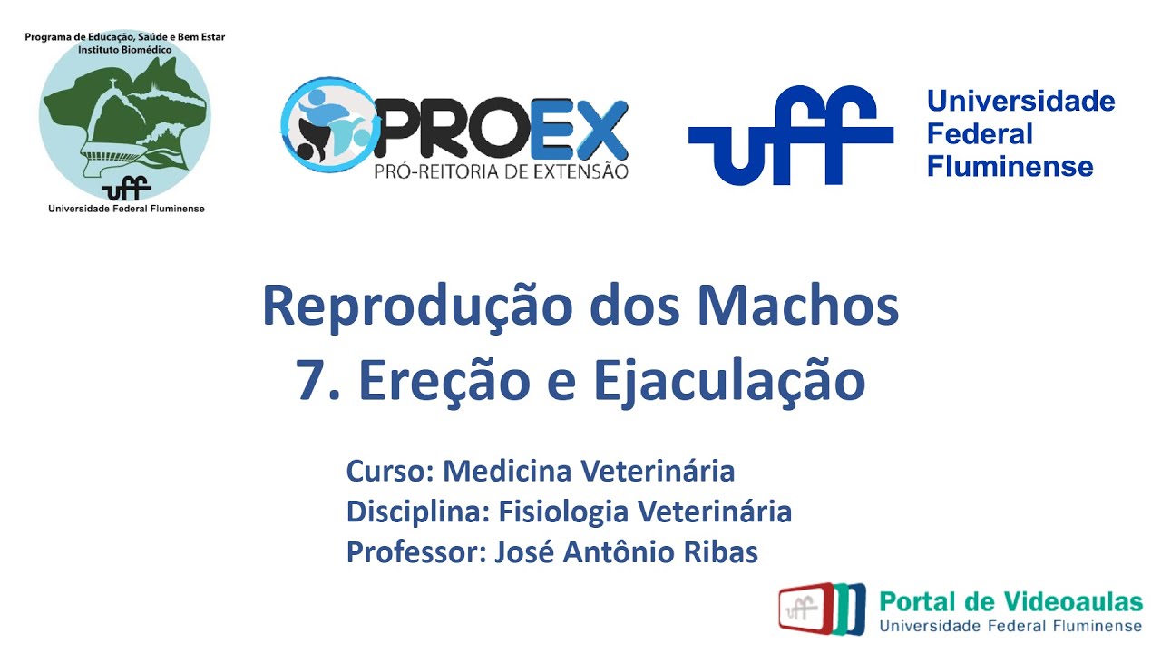 Reprodução Machos - 7. Ereção e Ejaculação