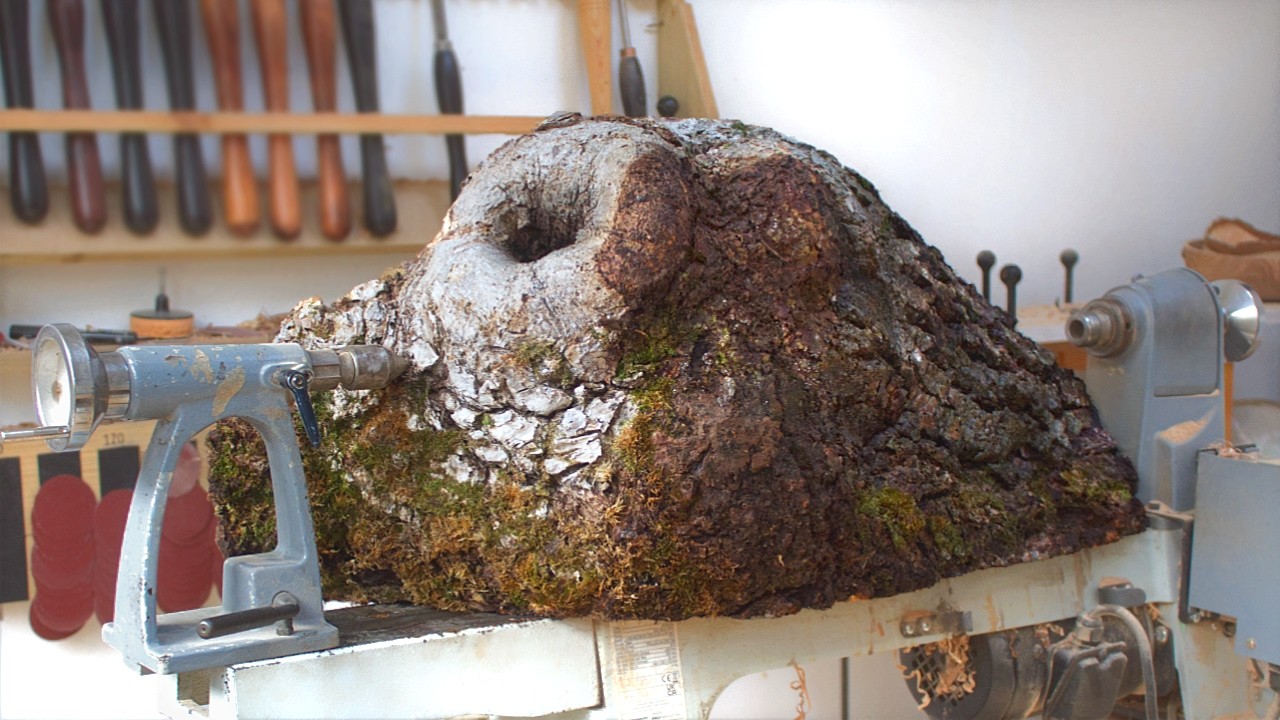 Let's Find Out What's Inside This Tree! - Woodturning