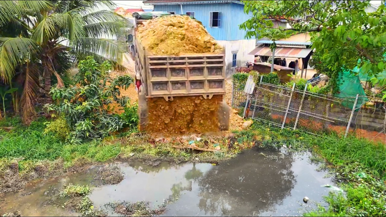  Starting New  perfect project!DumpTruck Pouring Delete Pond,By Skill Clearing Wild And Pushing Soil