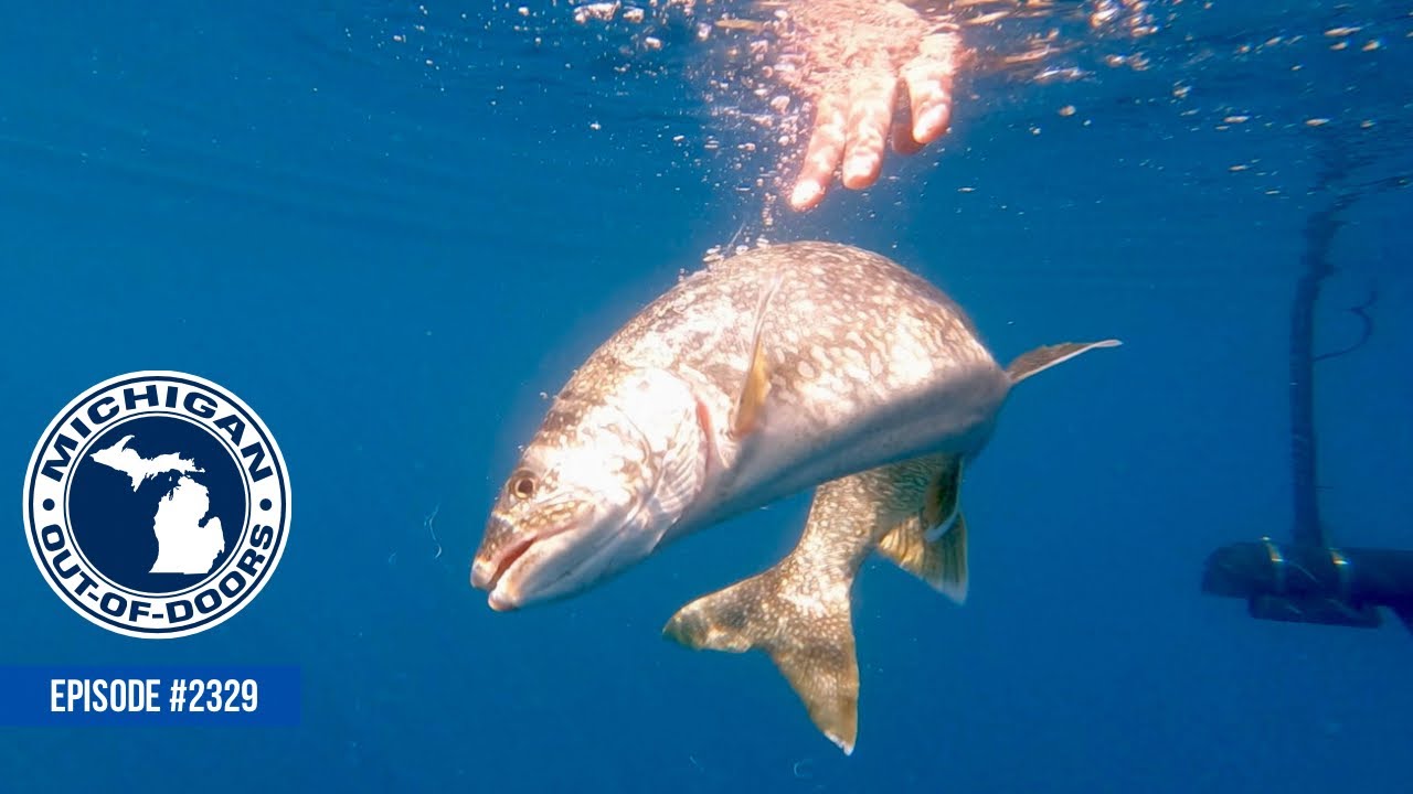 Lake Trout Jigging, Ludington Salmon, Holland Salmon; Michigan Out of Doors TV #2329