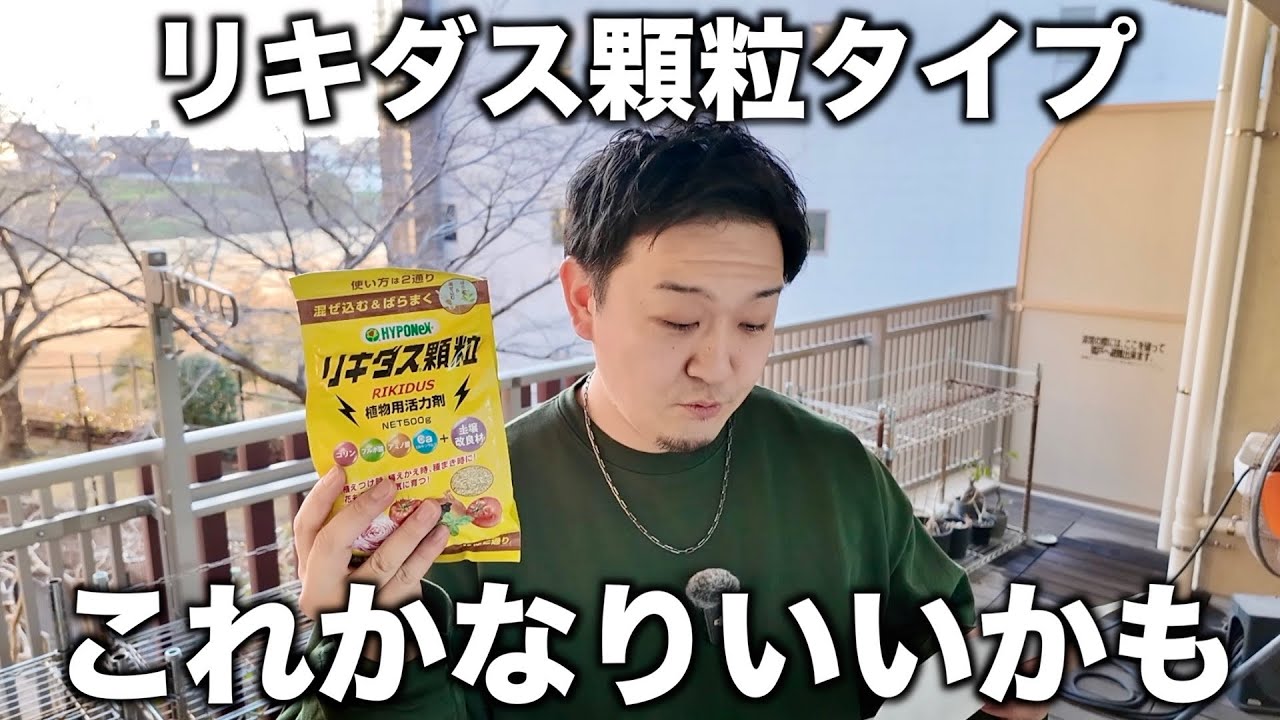 リキダスの
