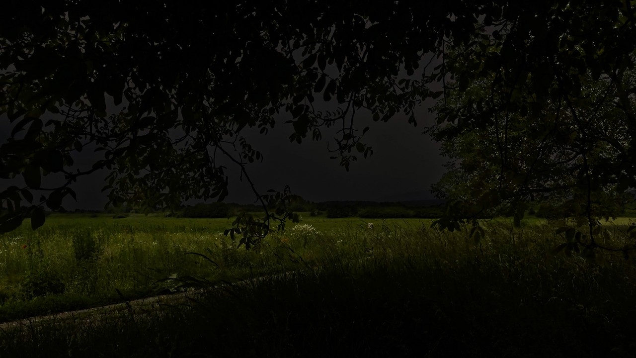Hiding Under a Tree | Thunderstorm Rolling Over the Fields | Summer at Grandma's Village