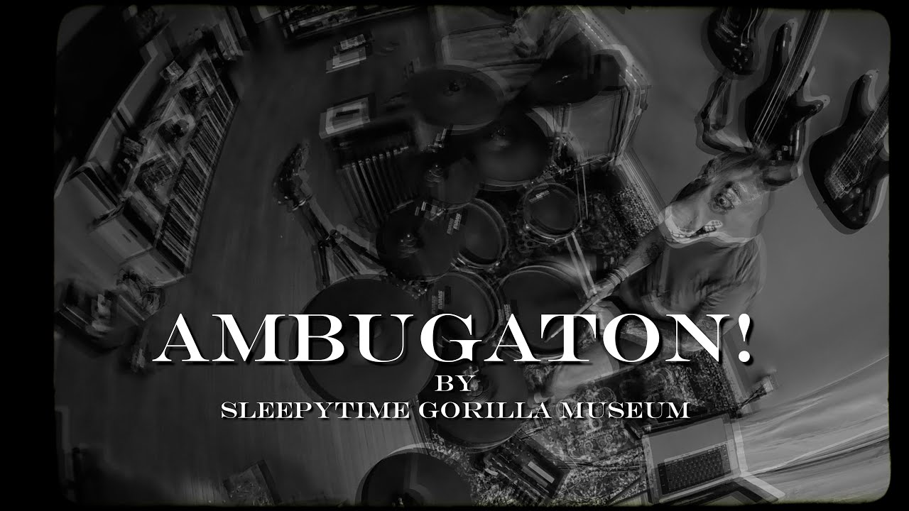 DRUM COVER - Sleepytime Gorilla Museum - 