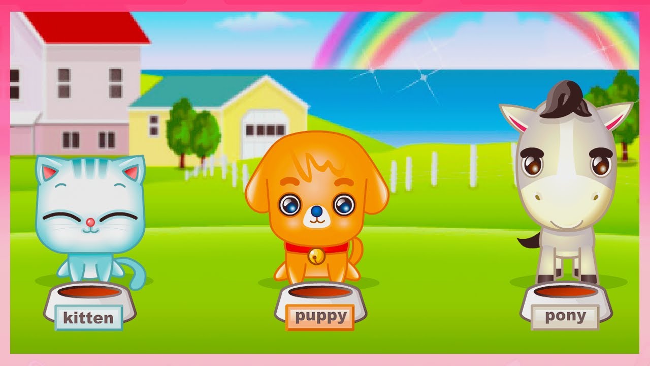 my cute pets 🐶 | flash gameplay