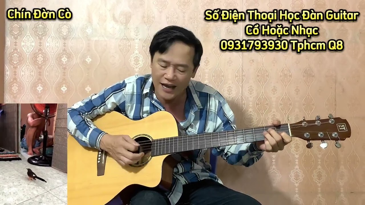 Chim Mình Không Quen Biết- Guitar Chín Đờn Cò