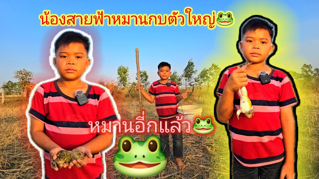 สายฟ้าหมานกบตัวใหญ่🐸&16 มีนาคม ค.ศ. 2026