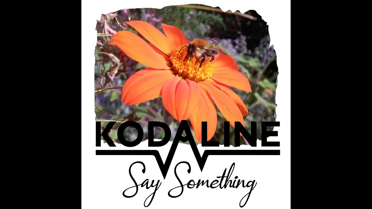 04 Kodaline - Say Something [Instrumental]
