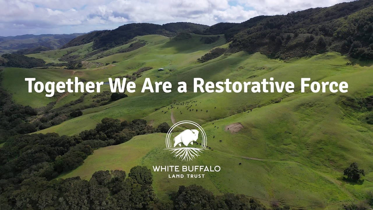 Together We Are a Restorative Force