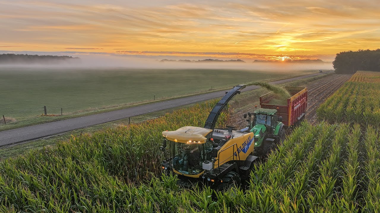 Maisoogst 2025 | Loonbedrijf Veldkamp Haule | Harvest at sunrise | Deutz Fahr Warrior | Maisernte