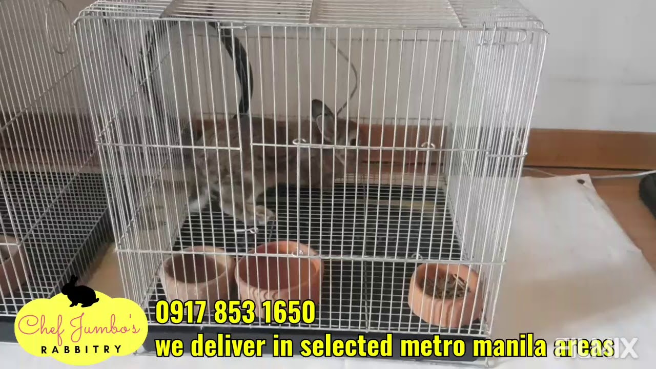 Recommended ready made cage for small pets galvanized, non collapsible