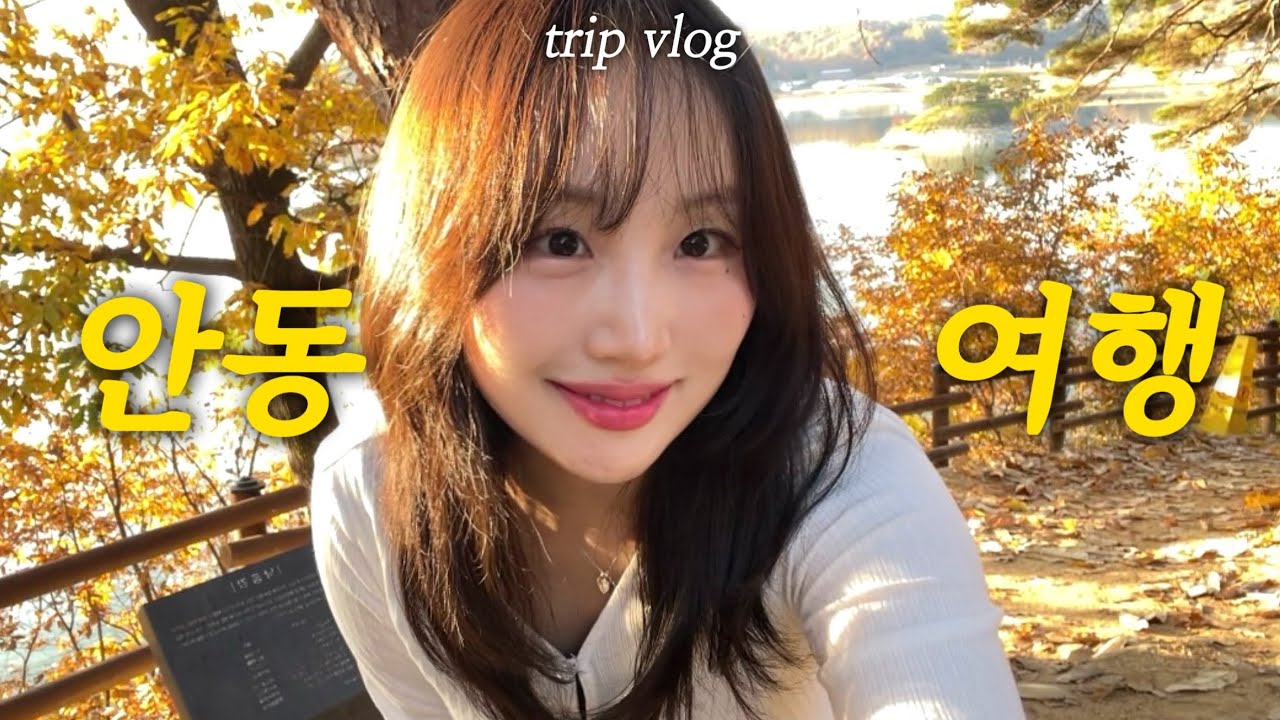 (SUB) 1박 2일 안동 여행 브이로그 (with. 16년지기 친구) • 젤라또 맛집 발견 • 도산서원 단풍 자만추의 현장 • vlog
