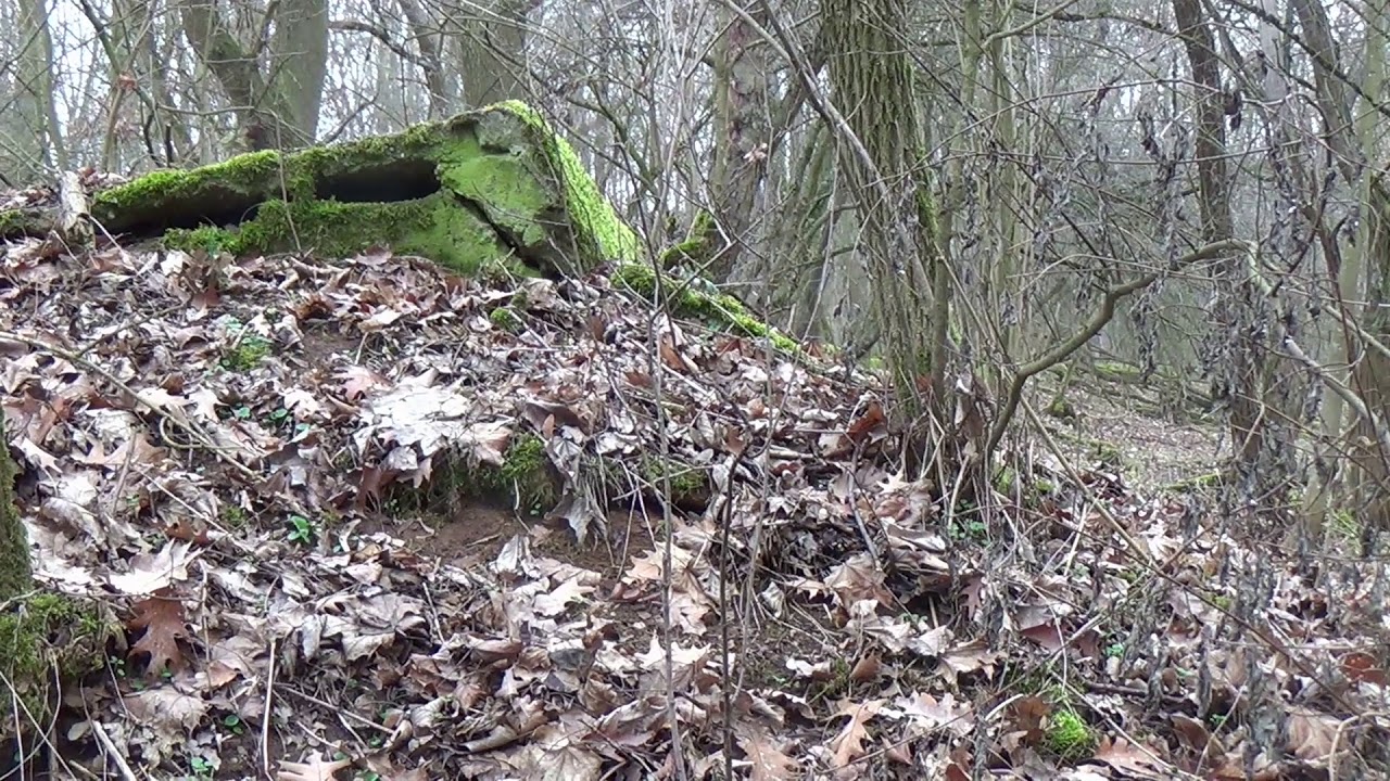 Besuch der alten Opelrennbahn