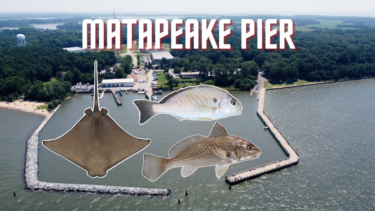 Fishing Matapeake Pier | Chesapeake Bay MD (Sting Ray, Spot, Croaker)