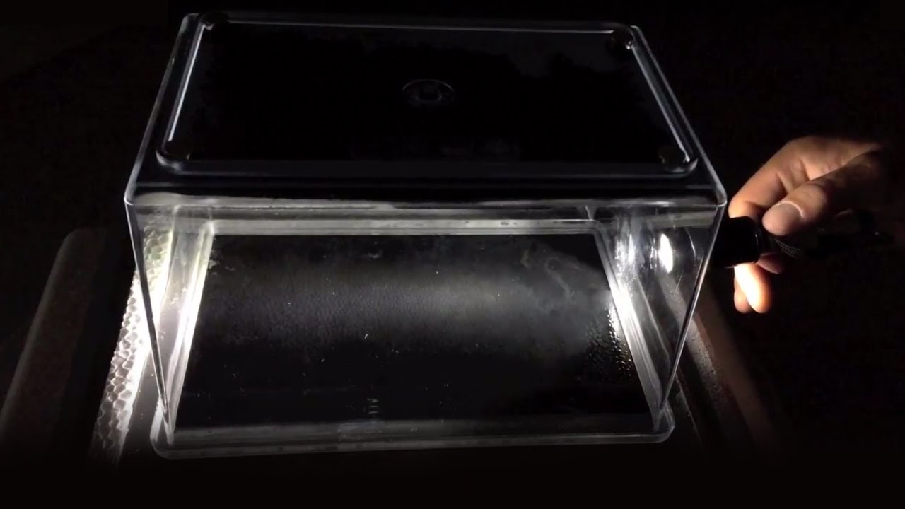 Experiment: Die Nebelkammer