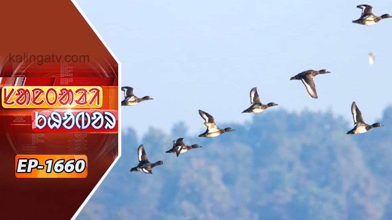 Santali Khabar || Episode 1660 || Kalinga TV