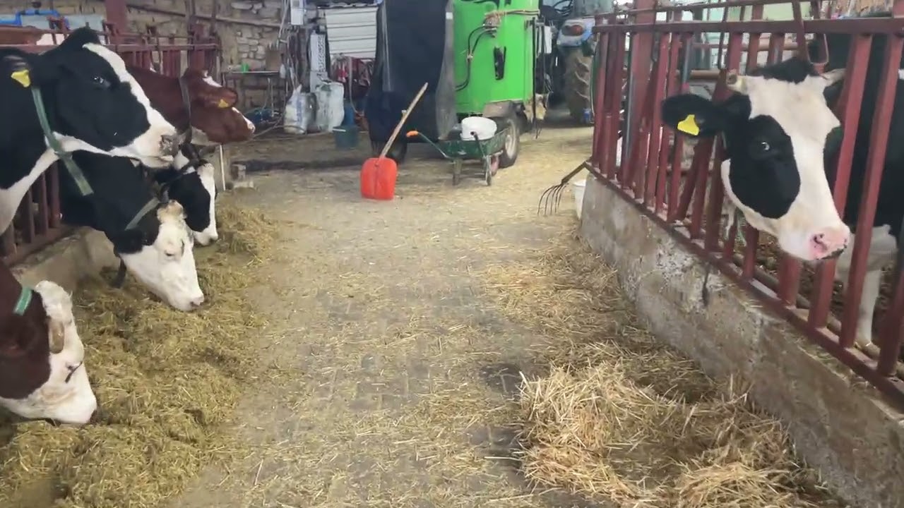 Çiftçilikte güncel sorunlar ve haykırış videosu #uşak #çiftçi 