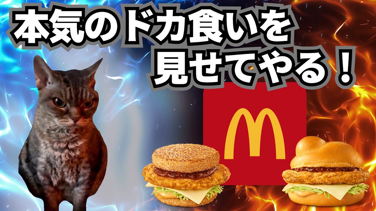 マクドナルドでドカ食いした何気ない話【猫ミーム】