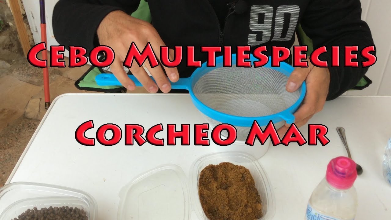 Iniciación corcheo mar Cebo universal para pescar cualquier especie en el puerto o roquero.