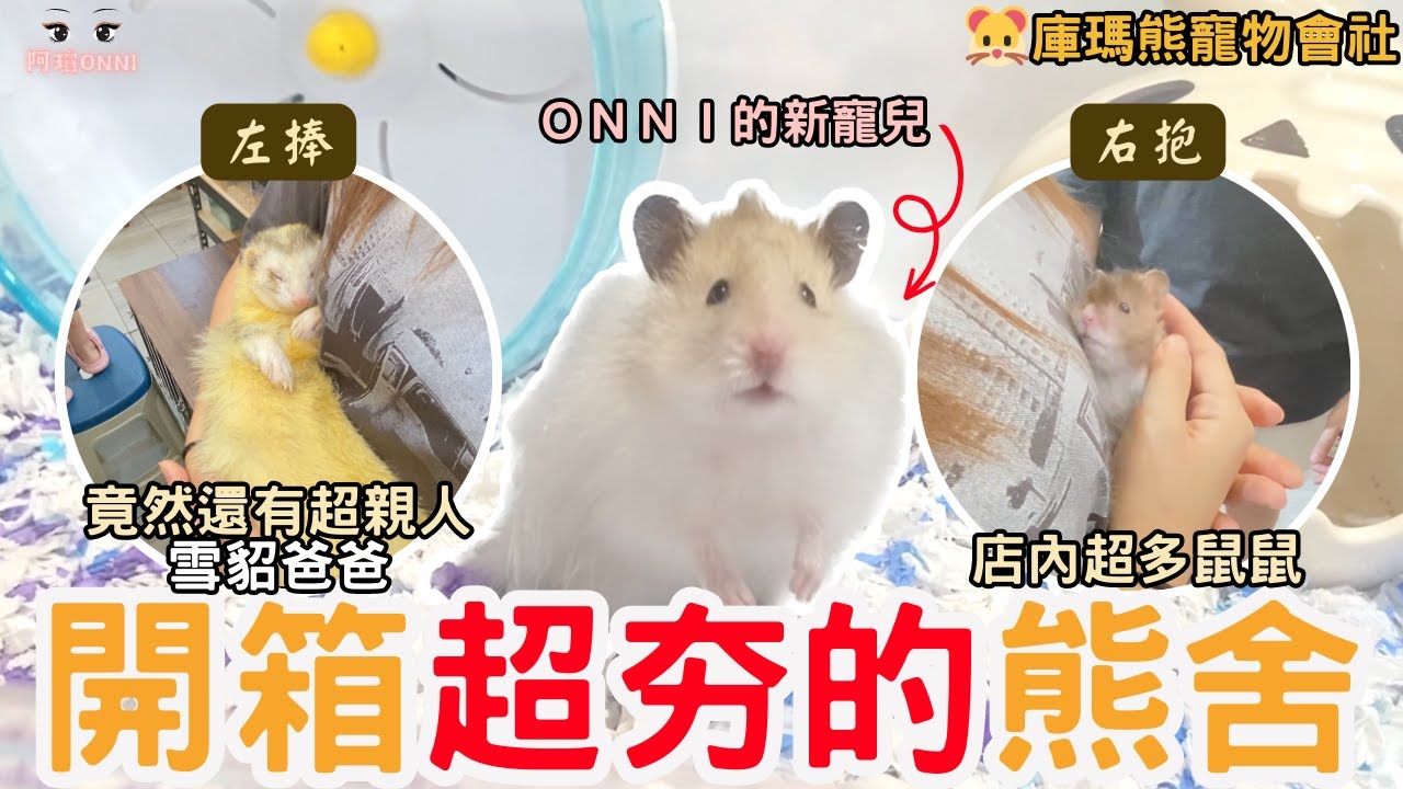 歐尼迎接新成員？？滿滿熊仔的一集！！顛覆對寵物店的認知！！