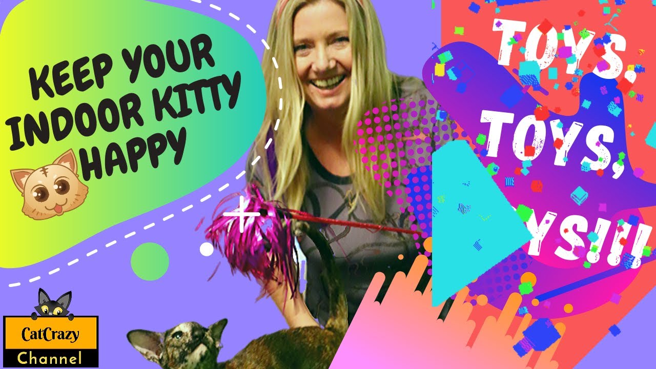 😻 CatCrazy: How To Keep Indoor CatHappy! Watch...