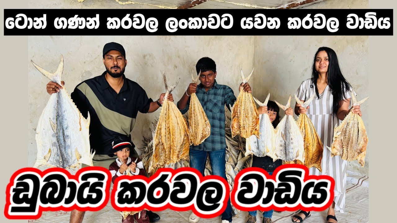 කාන්තාරයක් මැද කරෝල වාඩීයක්🔥🐟| තොග පිටින් ලන්කාවට | Dry Fish wholesale