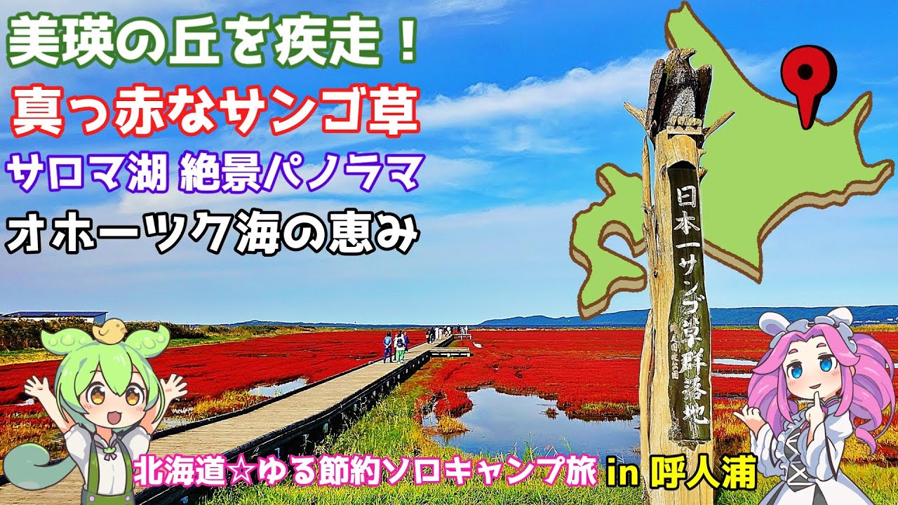 【北海道ゆる節約ソロキャンプ旅】美瑛の丘を疾走！能取湖サンゴ草の絶景＆サロマ湖ホタテに完全ノックアウト【ずんだもん旅動画】