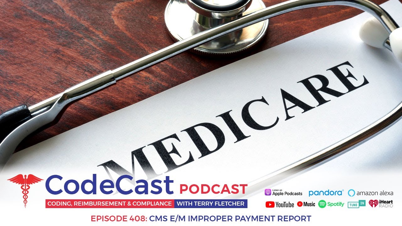 CMS E/M Improper Payment Report